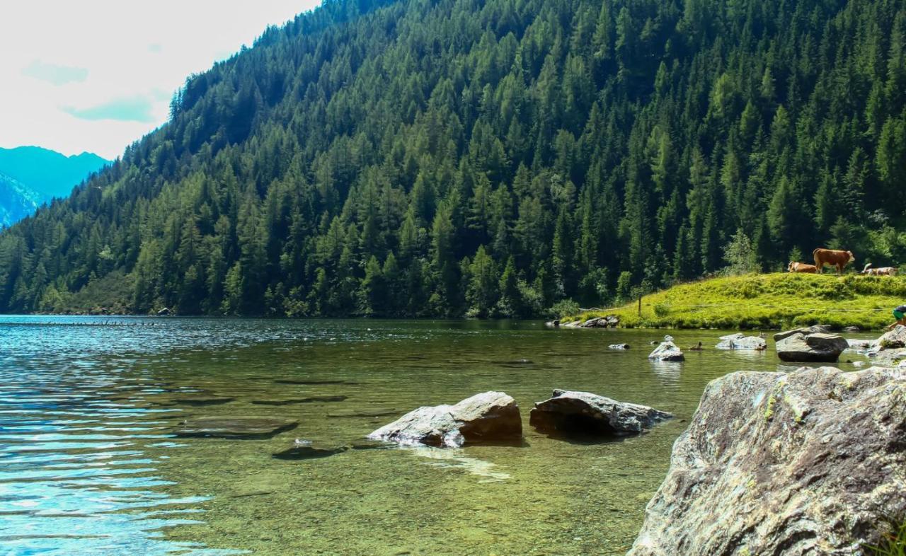 Ferienwohnungen Reinbacher - Primps Schladming Esterno foto