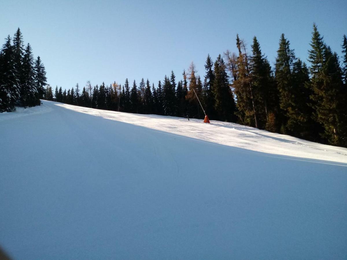 Ferienwohnungen Reinbacher - Primps Schladming Esterno foto